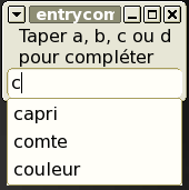 Exemple de zone de saisie avec compltement.